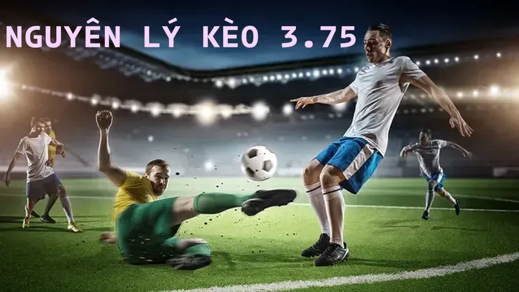 Bí Quyết Chinh Phục Kèo 3.75 Đẳng Cấp Cho Các Cao Thủ Bóng Đá
