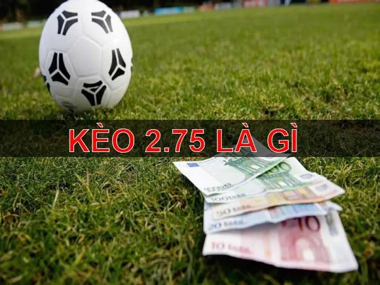 Hướng Dẫn Kèo 2.75 Tỷ Lệ Thắng Lớn Cho Người Chơi Chuyên Nghiệp