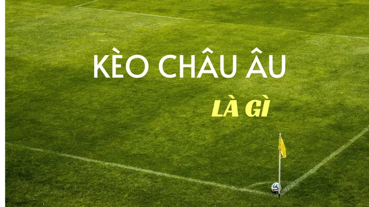 Hướng Dẫn Cách Chơi Kèo Châu Âu Dễ Dàng Và Dành Chiến Thắng Vang Dội