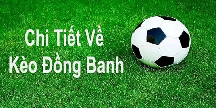 Chiến Thuật Đặt Cược Kèo Đồng Banh Siêu Hấp Dẫn Dành Cho Cao Thủ