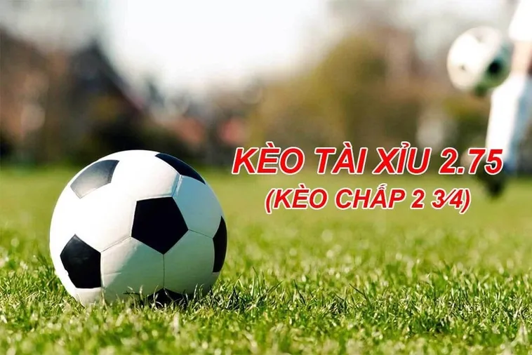 Hướng Dẫn Kèo 2.75 Tỷ Lệ Thắng Lớn Cho Người Chơi Chuyên Nghiệp