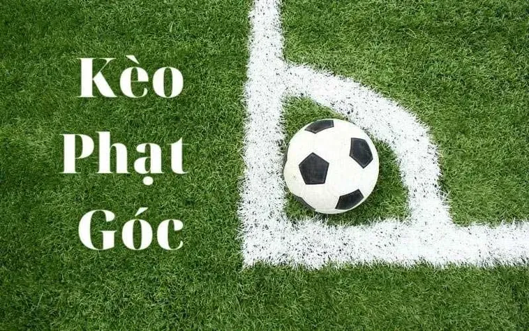 Bí Quyết Chiến Thắng Kèo Phạt Góc Bóng Đá Với Lợi Nhuận Khổng Lồ