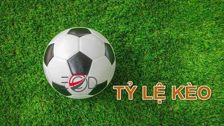Tỷ Lệ Cá Cược Chuẩn - Cập Nhật Tỷ Lệ Kèo Nhà Cái Nhanh Nhất